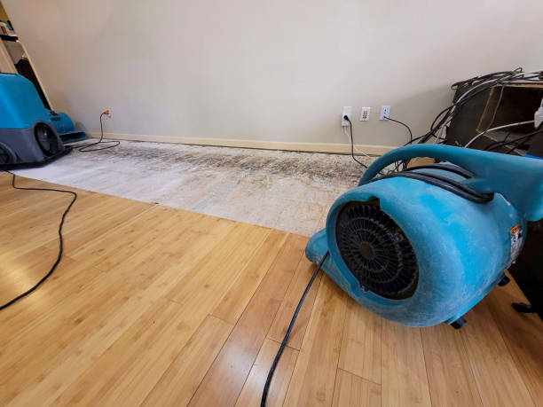 Professional Ceiling Water Damage Repair technician working in Bloomington, CA